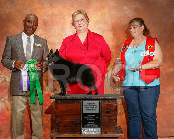 _ST_2402-2-CarlrolltonSept2014-HR3