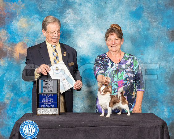 Chihuahua Long Coat #40 Sun SB Maj Judge John Ioia-SSR_9201-Hstn2018-HR3