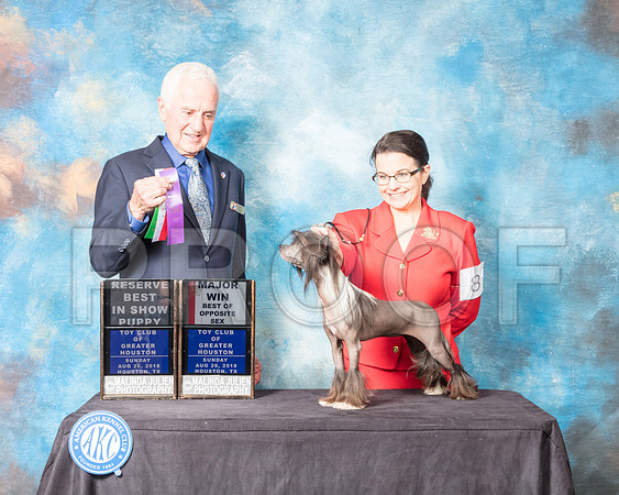 Chinese Crested #8 Sun BOS Maj Judge Ted Eubank-SSR_9291-Hstn2018-HR3