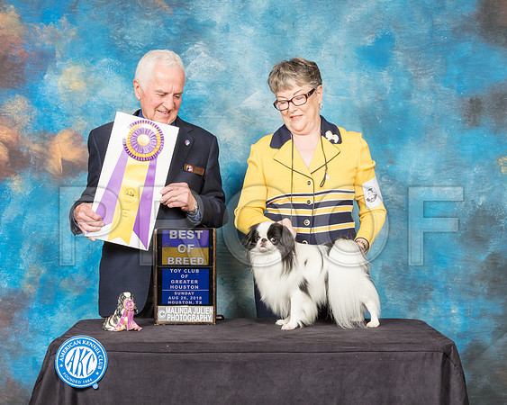 Japanese Chin #9 Sun BOB Judge Ted Eubank-SSR_9280-Hstn2018-HR3