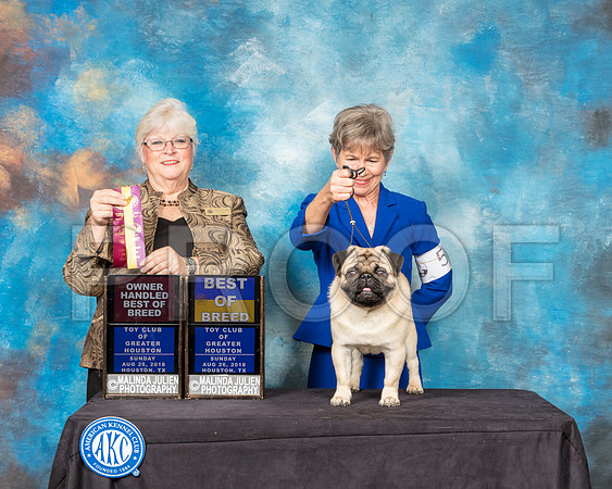 Pug #5 Sun BOB OHBOB Judge Mary Napper-SSR_9271-Hstn2018-HR3