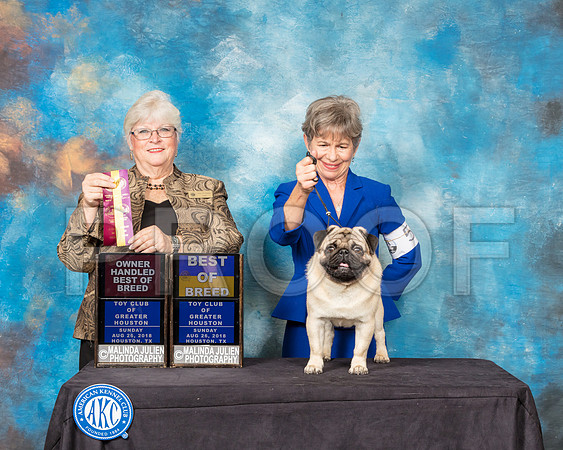 Pug #5 Sun BOB OHBOB Judge Mary Napper-SSR_9272-Hstn2018-HR3