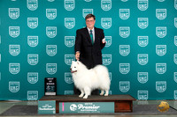 American Eskimo #932 Thur T10BOB Judge Rick Gann