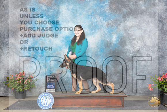 German Shepherd Dog #5 Sat PBOB Judge Wendy G Willhauck__JP_4731_San Antonio_2024_HR3