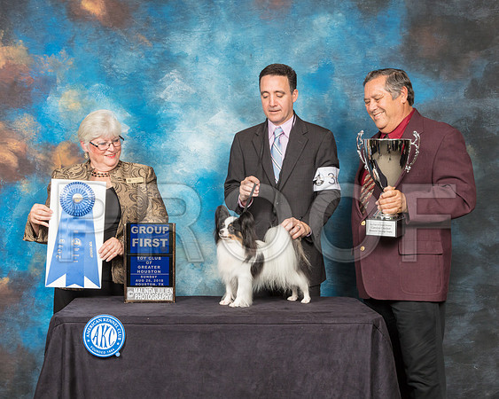 Papillon #36 Sun G1 Judge Mary Napper-SSR_9318-Hstn2018-HR3