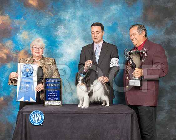 Papillon #36 Sun G1 Judge Mary Napper-SSR_9320-Hstn2018-HR3