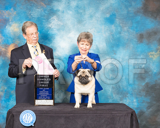 Pug #5 Sun OHG1 Judge John Ioia-SSR_9333-Hstn2018-HR3