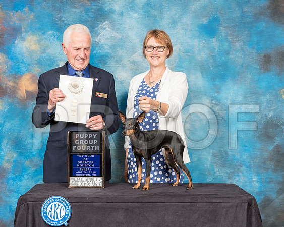 Toy Manchester Terrier #6 Sun PG4 Judge Ted Eubank-SSR_9314-Hstn2018-HR3