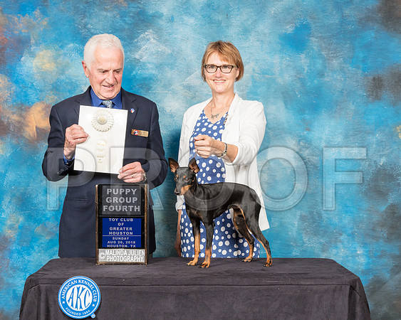 Toy Manchester Terrier #6 Sun PG4 Judge Ted Eubank-SSR_9315-Hstn2018-HR3