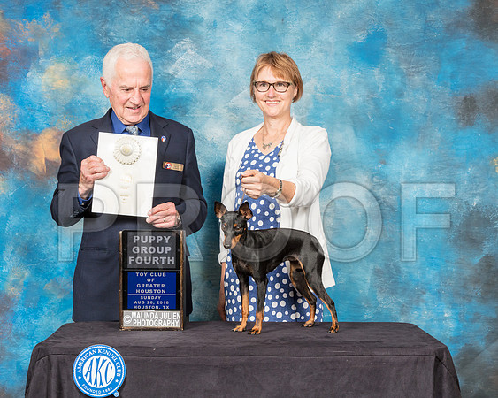 Toy Manchester Terrier #6 Sun PG4 Judge Ted Eubank-SSR_9316-Hstn2018-HR3