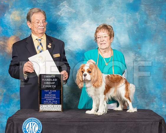 Cavalier King Charles Spaniel #9 Sun OHG4 Judge John Ioia-SSR_9306-Hstn2018-HR3
