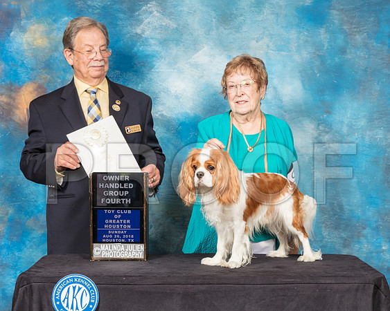 Cavalier King Charles Spaniel #9 Sun OHG4 Judge John Ioia-SSR_9307-Hstn2018-HR3