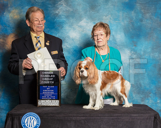 Cavalier King Charles Spaniel #9 Sun OHG4 Judge John Ioia-SSR_9308-Hstn2018-HR3