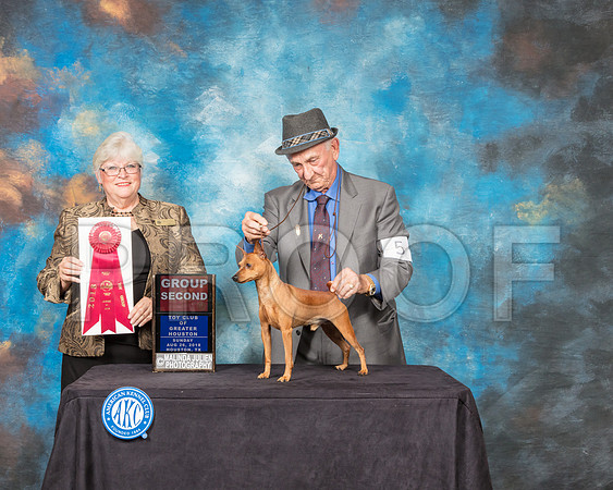 Miniature Pinscher #5 Sun G2 Judge Mary Napper-SSR_9324-Hstn2018-HR3
