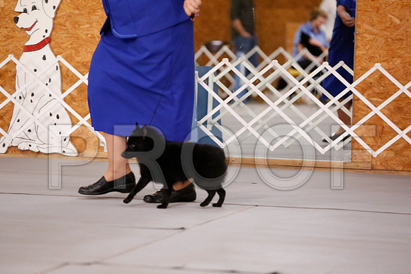 _RH_8344-CarlrolltonSept2014-HR3