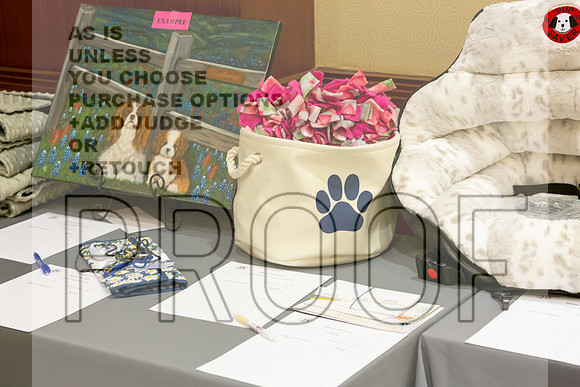 Cavalier King Charles Spaniel Fri Club Candids_3040-HstnToy21-HR3