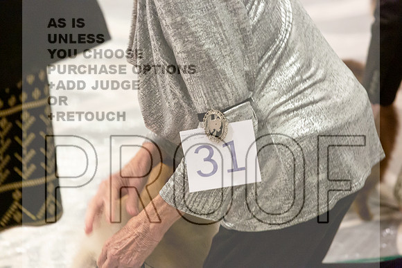 Pomeranian Thurs 9to12B Specialty_1902-HstnToy21-HR3
