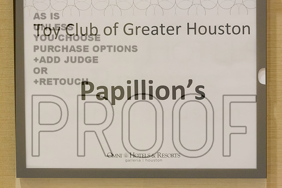 Papillon Fri Club Candids_3003-HstnToy21-HR3