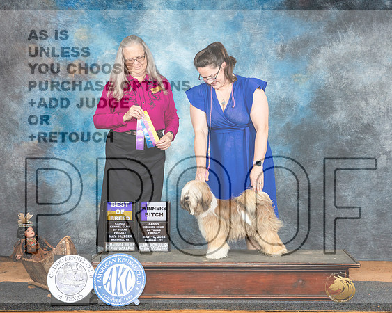 Tibetan Terrier #6 Sat WBOBO Judge Denise Dean-_JP_7717e_Marshall_2024-HR3