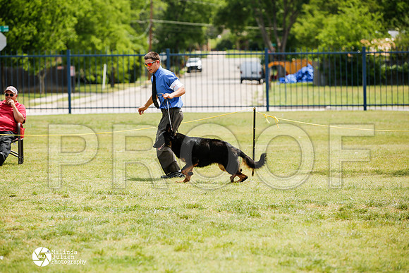 _J1_8304-BgSprngMay14-HR3