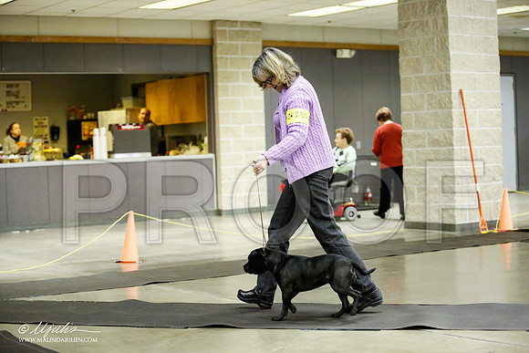 _JJ_6017-BeltonJan2015IABCA-HR3