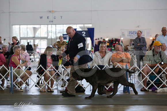 _JJ_1919-DallasJul2014-HR3
