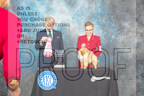 Pomeranian #40 Sun BPup Judge Tim Robbins_MJ_0488_HstnTOY_2022_HR3