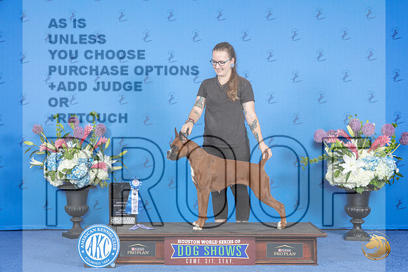 Boxer # FRI ATT Judge __JP_9115_Houston_2024_HR3