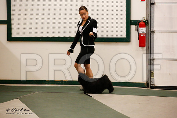 _JN_9274-NrmnNov2014-HR3
