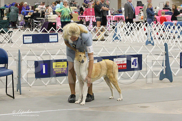 CollieS-7850LR