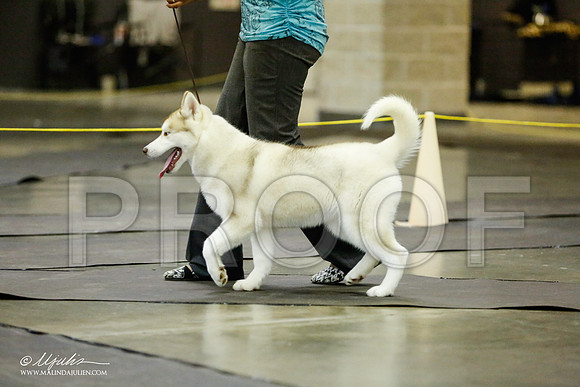 _RH_1794-BeltonJan2015IABCA-HR3