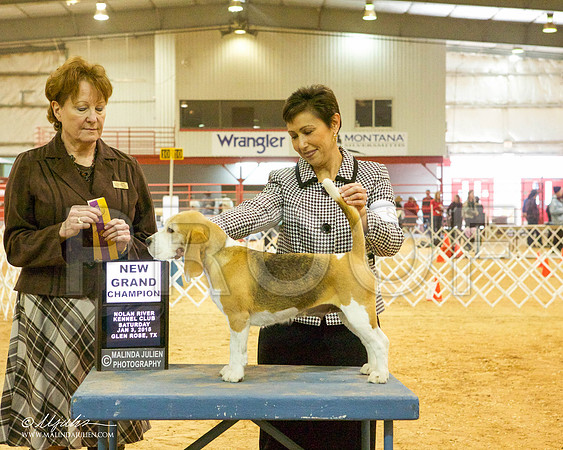 _MJ_5253-GlenRoseJan2015-HR3