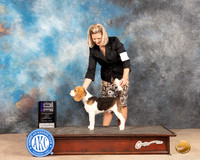 Beagle 15 #9 Fri WDM Judge Gloria Kerr