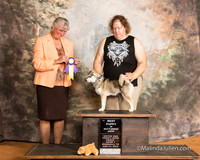 Alaskan Klee Kai Fri S1 BstPppy Sheila Sweet Judge Audry Reed