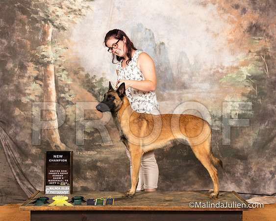 Belgian Malinois Sun NCh Emily Roach-SSR_9854-MrshllUKC2018-HR3