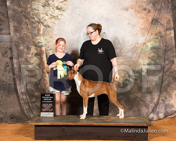 Boxer Sat G4 NCh Cheri Williams-SSR_9585-MrshllUKC2018-HR3