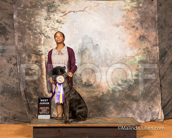 Cane Corso Sun S2 Best Jr Madison Morgan-SSR_9812-MrshllUKC2018-HR3
