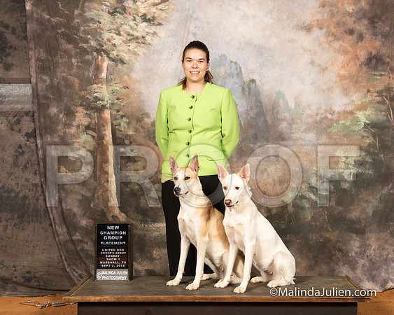 Carolina Dog Sun Caityln Reisman-SSR_9770-MrshllUKC2018-HR3