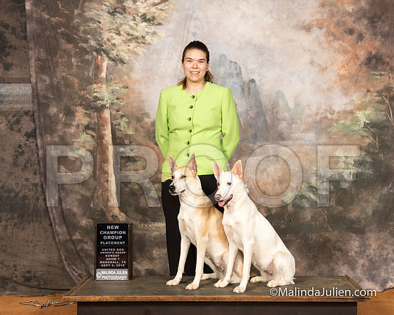 Carolina Dog Sun Caityln Reisman-SSR_9773-MrshllUKC2018-HR3