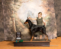 Doberman Pinscher Fri S2 Elaine Richman