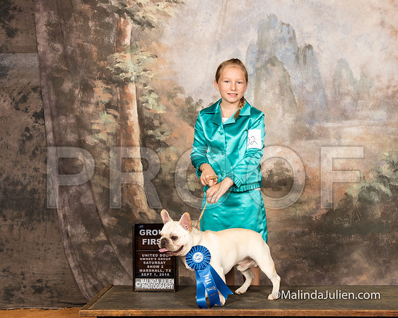 French Bulldog Sat S2 G1 John Powers RESHOOT-SSR_9704-MrshllUKC2018-HR3