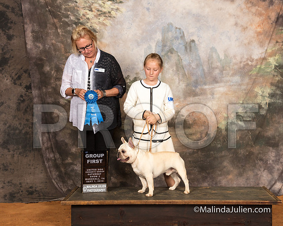 French Bulldog Sat S2 John Powers Judge Teresa Kocher-SSR_9641-MrshllUKC2018-HR3