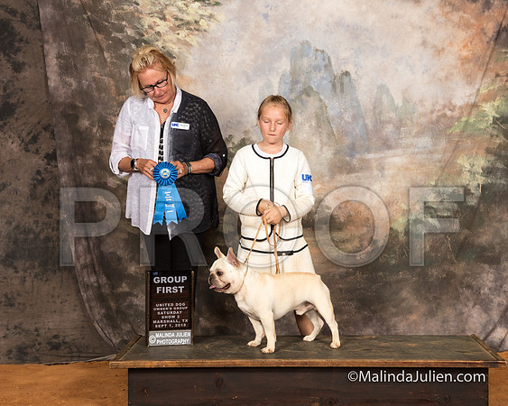 French Bulldog Sat S2 John Powers Judge Teresa Kocher-SSR_9642-MrshllUKC2018-HR3