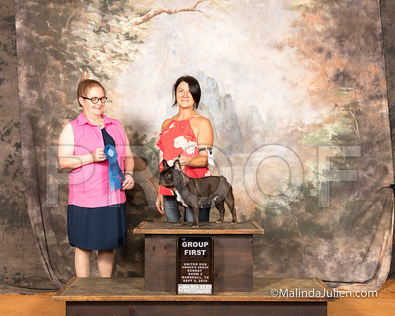 French Bulldog Sun S2 G1 Christine Wills Judge Brenda Landers-SSR_9933-MrshllUKC2018-HR3