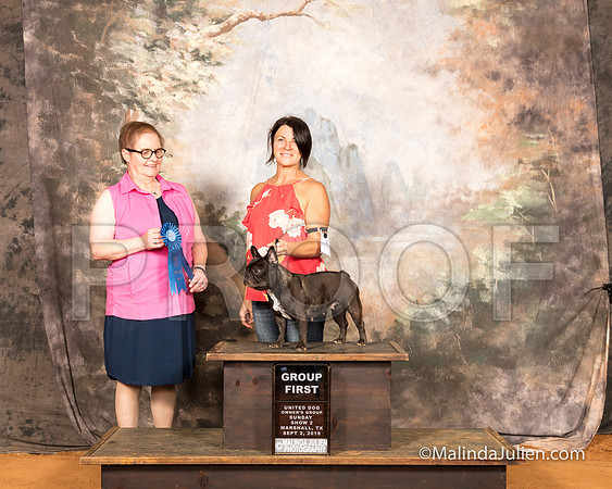 French Bulldog Sun S2 G1 Christine Wills Judge Brenda Landers-SSR_9934-MrshllUKC2018-HR3