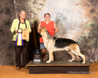 German Shepherd Dog Sat S2 BIABS Jessica McRae Judge Kathy Short