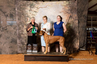 Rhodesian Ridgeback Fri S2 G3 NGrCh 1 Jane Simmons Judge Cindy Sanders