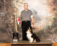 Shetland Sheepdog Sun S1 URO1