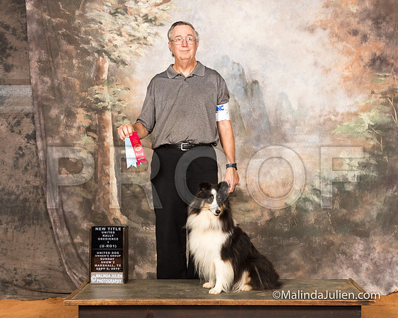 Shetland Sheepdog Sun S1 URO1-SSR_9779-MrshllUKC2018-HR3