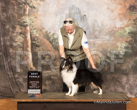 Shetland Sheepdog Sun S2 BFemale Janet Irby-SSR_9817-MrshllUKC2018-HR3